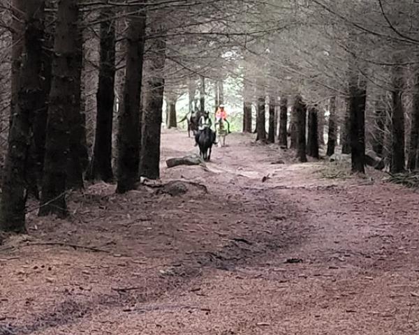 StrathRRag Braefordie Summer Camp